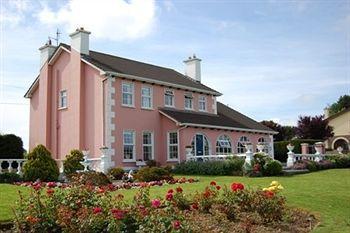 Ballingowan House Newcastle West Bagian luar foto